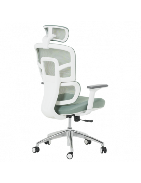 Ергономичен стол Carmen 7579 - зелен