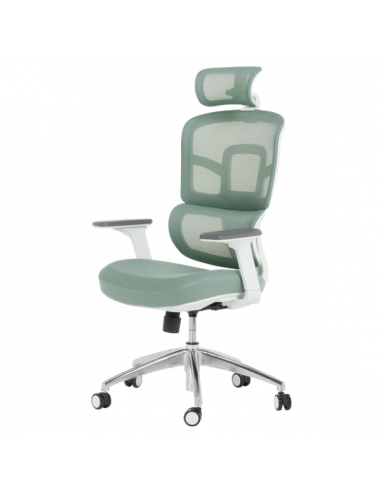 Ергономичен стол Carmen 7579 - зелен