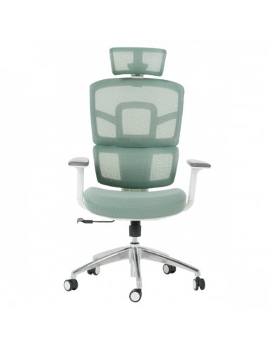 Ергономичен стол Carmen 7579 - зелен