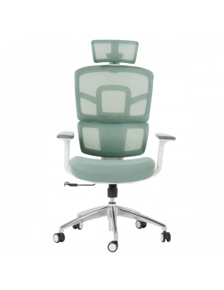 Ергономичен стол Carmen 7579 - зелен