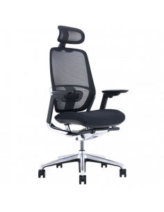 Ергономичен стол VAUD - черен