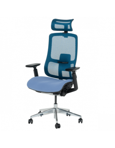 Ергономичен стол SALTO - син