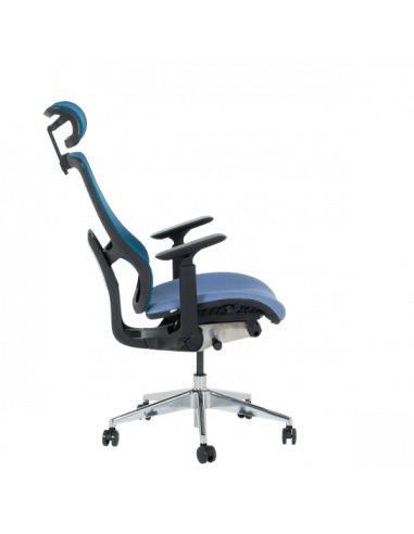 Ергономичен стол SALTO - син