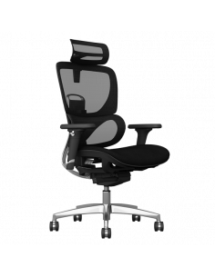 Ергономичен стол GANDER - черен