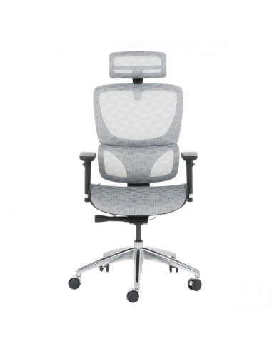 Ергономичен стол DELTA - бял