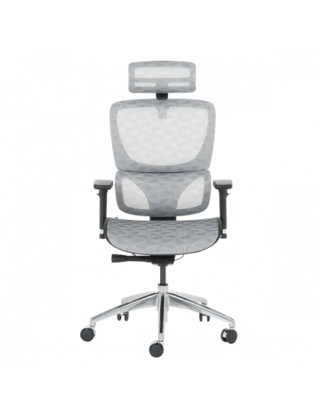 Ергономичен стол DELTA - бял