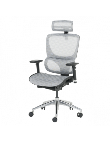 Ергономичен стол DELTA - бял