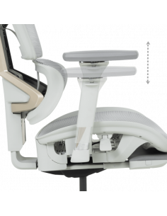 Ергономичен стол DIJON - сив 2