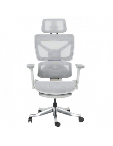 Ергономичен стол DIJON - сив