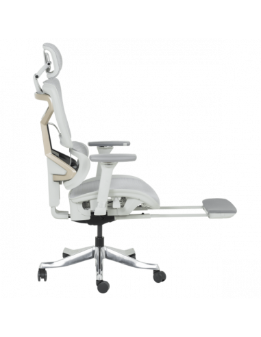 Ергономичен стол DIJON - сив