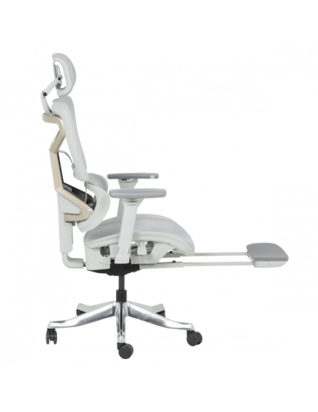 Ергономичен стол DIJON - сив