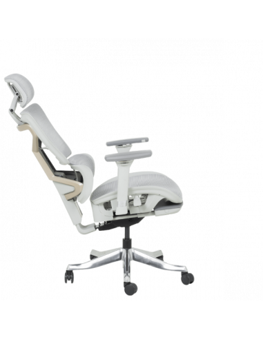 Ергономичен стол DIJON - сив