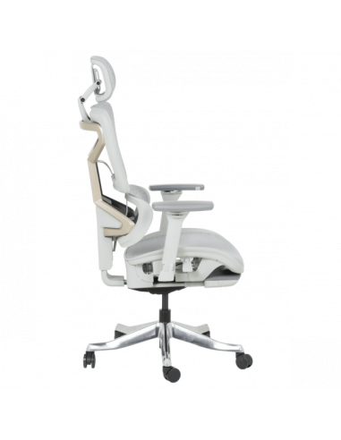 Ергономичен стол DIJON - сив