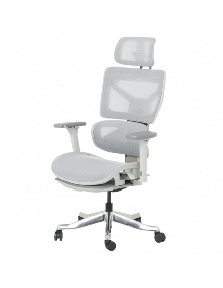 Ергономичен стол DIJON - сив