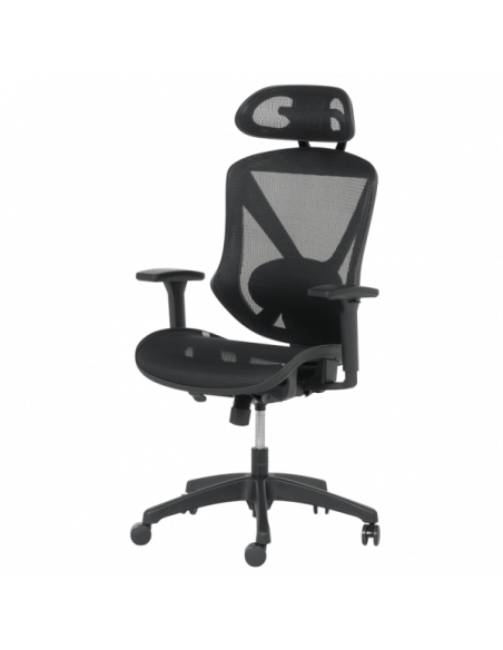 Ергономичен стол CAEN - черен