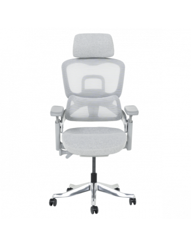 Ергономичен стол LYON - сив