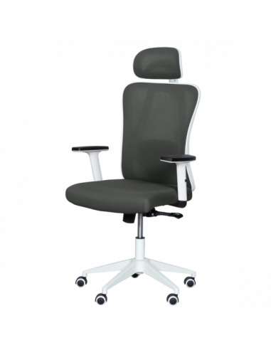 Ергономичен стол Carmen 7588 - графит