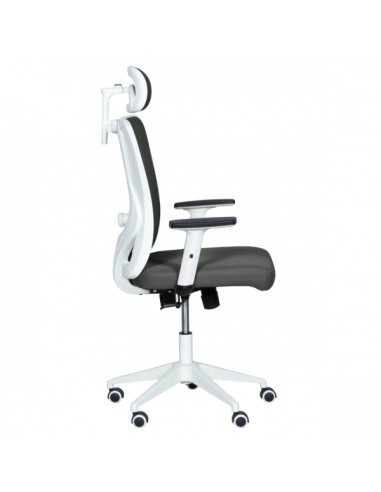 Ергономичен стол Carmen 7588 - графит