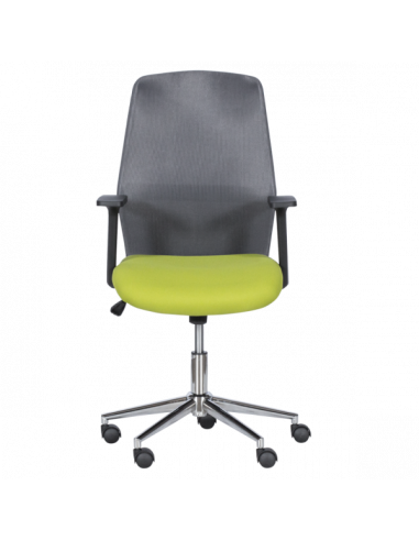 Работен офис стол Carmen 7047-1 - сив-зелен