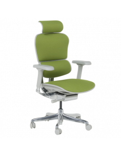 Ергономичен стол ERGOHUMAN ELITE 2 - сива рамка - зелен