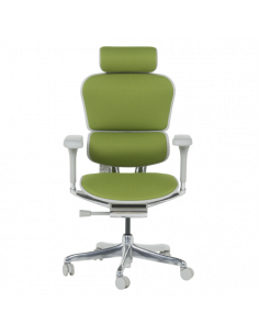 Ергономичен стол ERGOHUMAN ELITE 2 - сива рамка - зелен 2