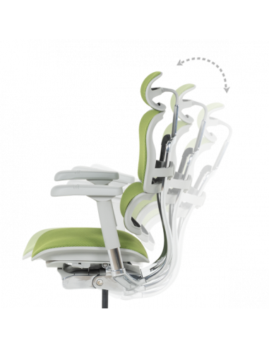 Ергономичен стол ERGOHUMAN ELITE 2 - сива рамка - зелен