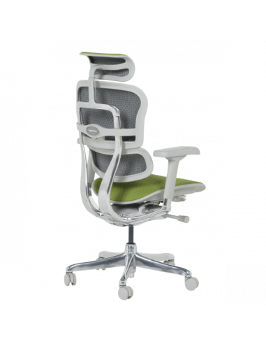 Ергономичен стол ERGOHUMAN ELITE 2 - сива рамка - зелен