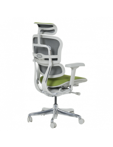Ергономичен стол ERGOHUMAN ELITE 2 - сива рамка - зелен