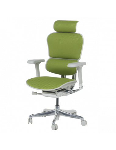 Ергономичен стол ERGOHUMAN ELITE 2 - сива рамка - зелен