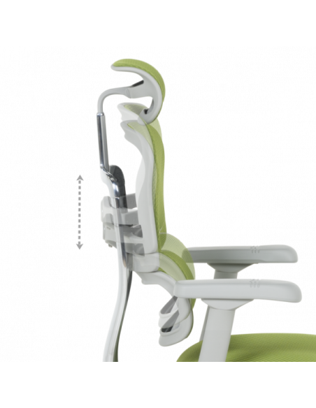 Ергономичен стол ERGOHUMAN ELITE 2 - сива рамка - зелен