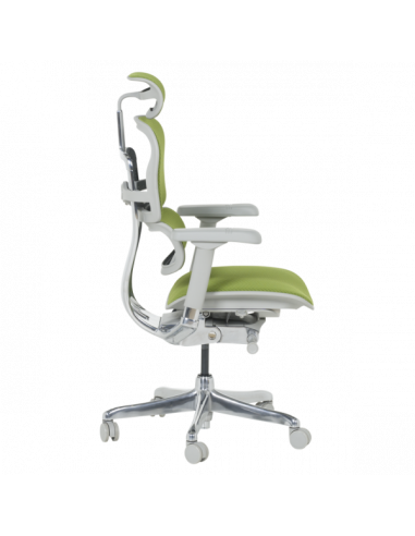 Ергономичен стол ERGOHUMAN ELITE 2 - сива рамка - зелен