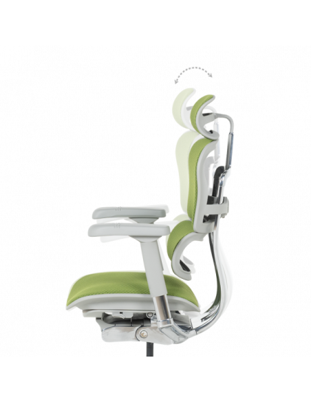 Ергономичен стол ERGOHUMAN ELITE 2 - сива рамка - зелен