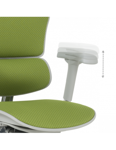 Ергономичен стол ERGOHUMAN ELITE 2 - сива рамка - зелен