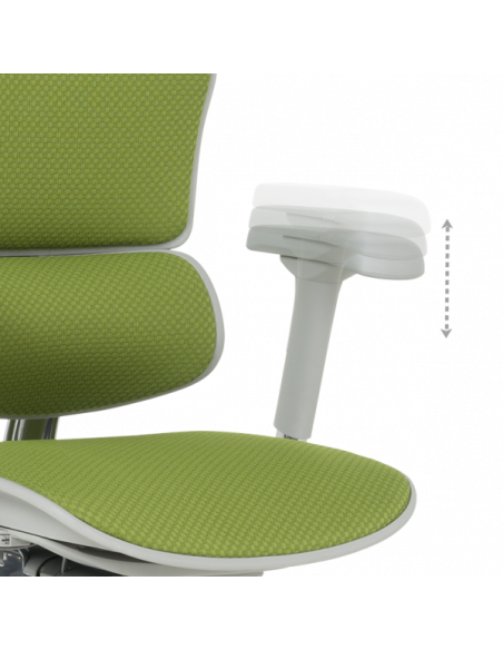 Ергономичен стол ERGOHUMAN ELITE 2 - сива рамка - зелен