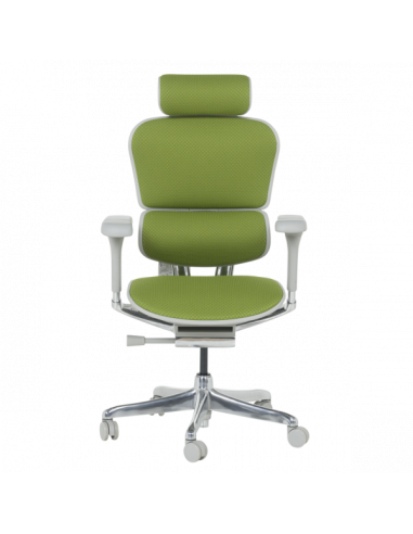 Ергономичен стол ERGOHUMAN ELITE 2 - сива рамка - зелен