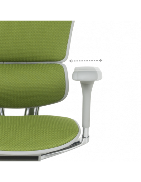 Ергономичен стол ERGOHUMAN ELITE 2 - сива рамка - зелен