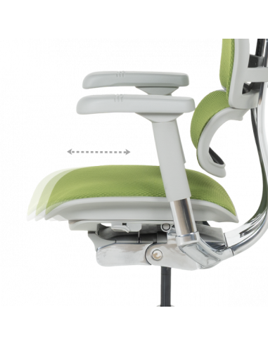 Ергономичен стол ERGOHUMAN ELITE 2 - сива рамка - зелен