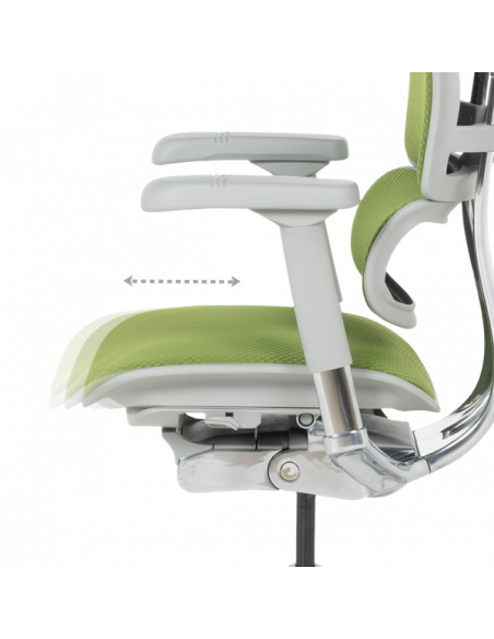 Ергономичен стол ERGOHUMAN ELITE 2 - сива рамка - зелен