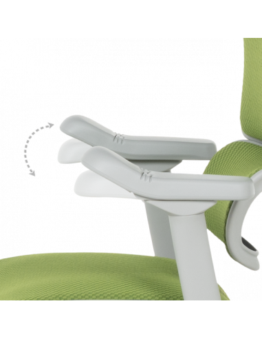 Ергономичен стол ERGOHUMAN ELITE 2 - сива рамка - зелен