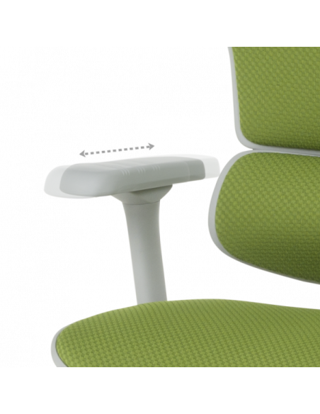 Ергономичен стол ERGOHUMAN ELITE 2 - сива рамка - зелен