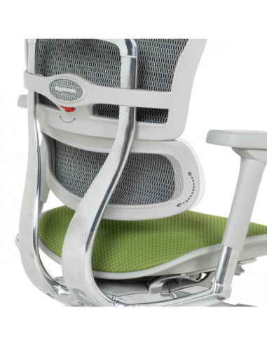 Ергономичен стол ERGOHUMAN ELITE 2 - сива рамка - зелен