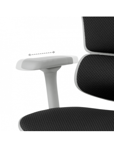 Ергономичен стол ERGOHUMAN ELITE 2 - сива рамка - черен