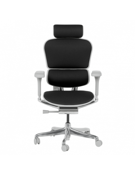 Ергономичен стол ERGOHUMAN ELITE 2 - сива рамка - черен