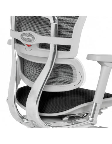 Ергономичен стол ERGOHUMAN ELITE 2 - сива рамка - черен