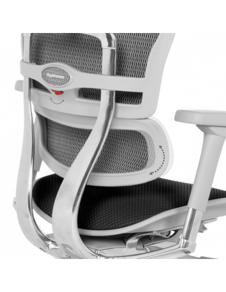 Ергономичен стол ERGOHUMAN ELITE 2 - сива рамка - черен