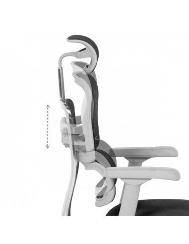 Ергономичен стол ERGOHUMAN ELITE 2 - сива рамка - черен