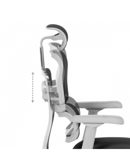 Ергономичен стол ERGOHUMAN ELITE 2 - сива рамка - черен