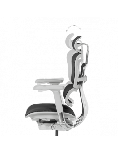 Ергономичен стол ERGOHUMAN ELITE 2 - сива рамка - черен