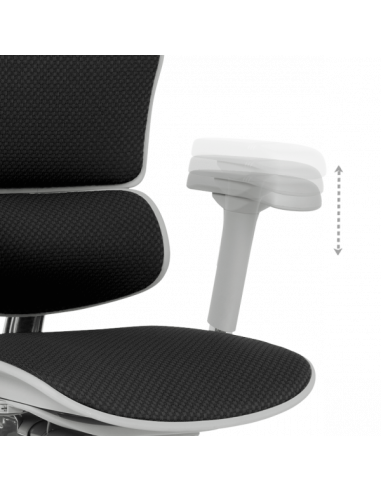 Ергономичен стол ERGOHUMAN ELITE 2 - сива рамка - черен