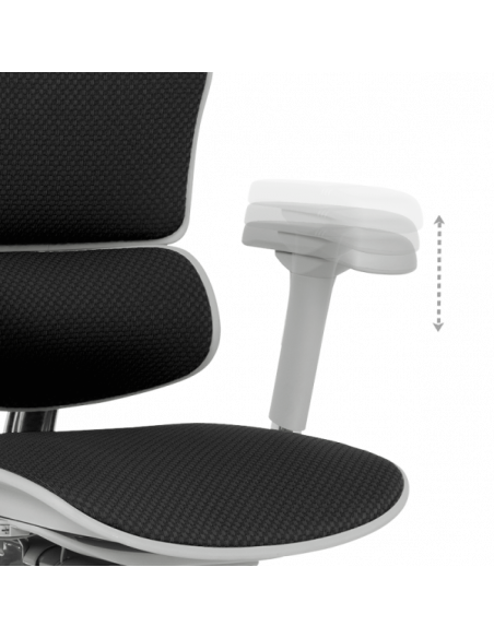 Ергономичен стол ERGOHUMAN ELITE 2 - сива рамка - черен